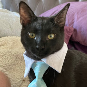 Meet your Posher, Stephen